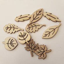 Load image into Gallery viewer, Shokart Wooden Embellishments - Various