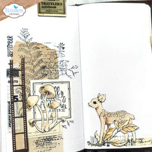 Load image into Gallery viewer, ECD Stamp Set Woodland Critters- CS243