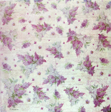 Load image into Gallery viewer, Stamperia DFT Rice Papers x 10