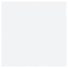 Load image into Gallery viewer, Pentart Dekor Paint Soft - 100 ml