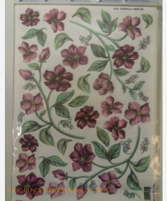 Sospeso Trasparente - Paper Veil Potentilla A4 - 5 sheets - PV01