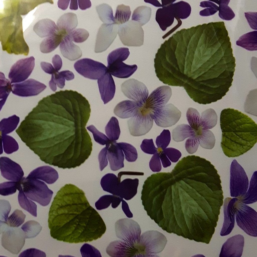 NEW Sospeso Trasparente -Printed Film Violette - S4/09 - DaliART