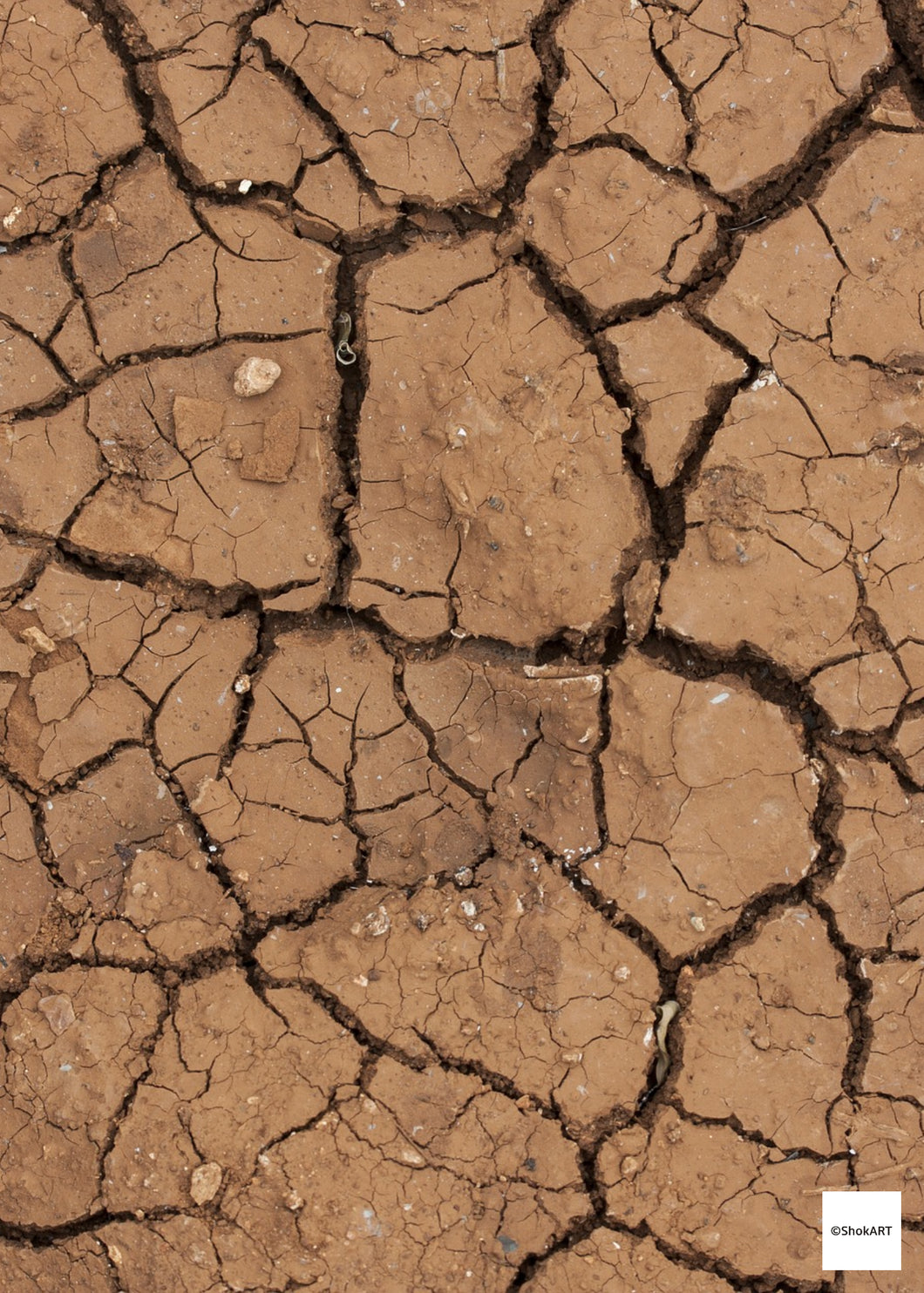 A5 Sheet - Digital Download - Earth Cracks