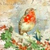 Stamperia 24x60cm Decoupage Rice Paper -Robin Ivy- DFS304L