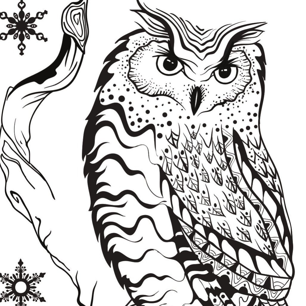 Becky Seddon 'Season's Hooting ' A6 Clear Stamp Set - DaliART